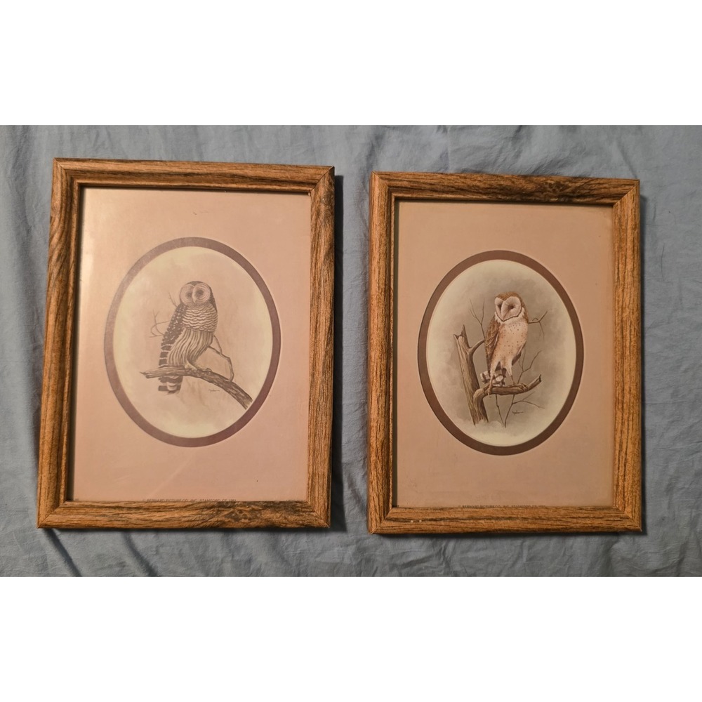 Vintage 1981 Bernard Owl Prints Framed Wall Art Pair Woodland Bird Decor